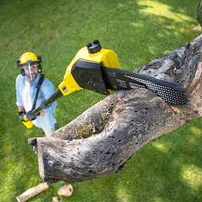 Best Leaf Removal  in Junction City, CA